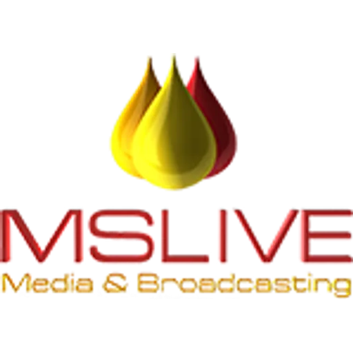 MSLive Technologies logo