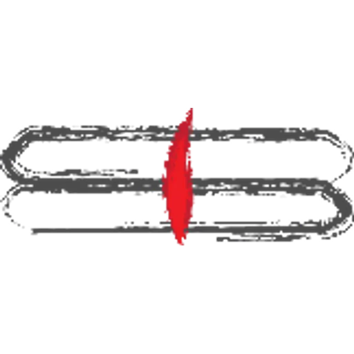 Vipra Labs logo