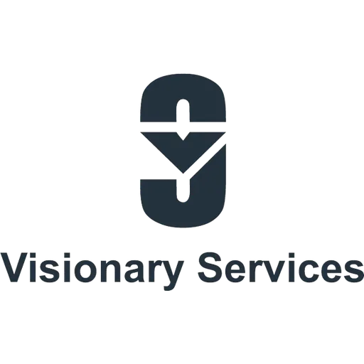Visionary Bizz logo