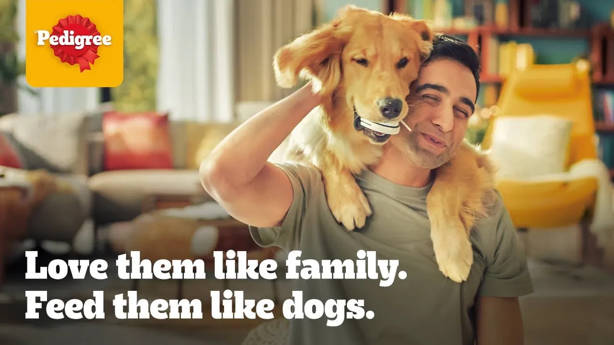A frame from Mars Petcare India's 'Feed Them Like Cats and Dogs' campaign film