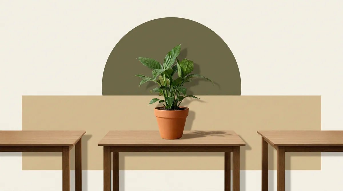 A single healthy plant on a desk between two identical empty desks, set against bold flat colour blocks